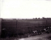 Wire Fencing and Open Fields