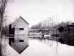 Saw Mill