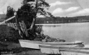 Boats and Fencing Along Caspian Lake