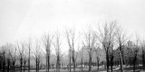 Taylor Park 