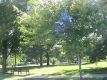 Taylor Park