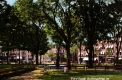 City Park 