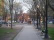 City Hall Park