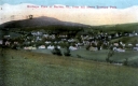 Barton Village from above Trotting Park