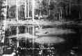 Boiling Spring