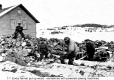 Cutting and Stacking Wood