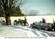 Gathering Sap, Broinla Farm