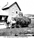 Haying, George Spear
