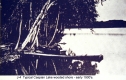 Wooded Shoreline, Caspian Lake