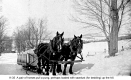 Horse Team Loaded with Pung