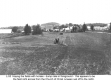 Haying Fields