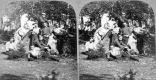Group of Men Leaning on Boulder