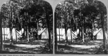 Group of men at Camp Kinney, Bow and Arrow Point