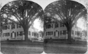 House with Tree in Front