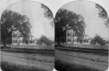 House and Trees