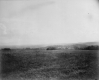 Fields at Shelburne Farms