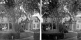 House with Tree in Front