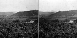Corn fields and Mount Ascutney