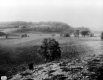 Fields and forest at Shelburne Farms