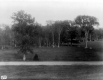 Elm Swamp at Shelburne Farms, pre-draining