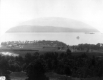 Wide View of Partially Cleared Elm Swamp and Shelburne House