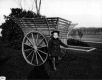 Vanderbilt Webb with leaf cart at Shelburne Farms