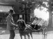 Children's Horse Cart at Oakledge Manor