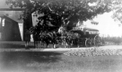Horse wagon at Oakledge Manor