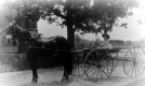 Child on carriage at Oakledge Manor