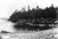 South Cove and cliffs at Oakledge