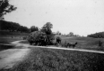 Haying scene at Shelburne Farms
