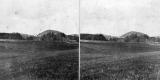 Bliss Farm