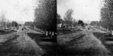 View of Park Street