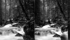 Cascade and Surrounding Forest