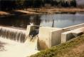Dam and forest