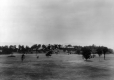Shelburne House and Open Fields at Shelburne Farms