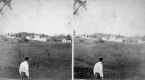 Farm in Brattleboro