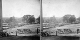 Wagons and Building