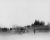 Horses and Wagons at Shelburne Farms