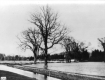 Flooding at Shelburne Farms