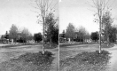 Dirt Road Bordering the Commons