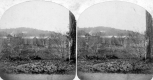 Vermont Asylum
