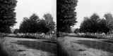 View of a Wide Road Lined with Trees