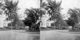 View of Horse, Wagon and Driver on a Dirt Road