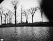 Field, trees, and water at Shelburne Farms