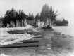 Ice spray along Shelburne Farms shoreline