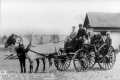 Horse carriage at Shelburne Farms