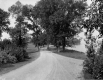 Shelburne Farms driveway along northern seawall