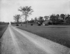 Driveway to Shelburne House, Shelburne Farms