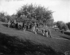 Harvesting apples at Shelburne Farms
